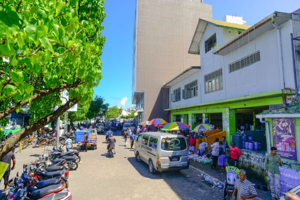 S'installer à Centre de Flacq : quartiers, écoles, coût de la vie